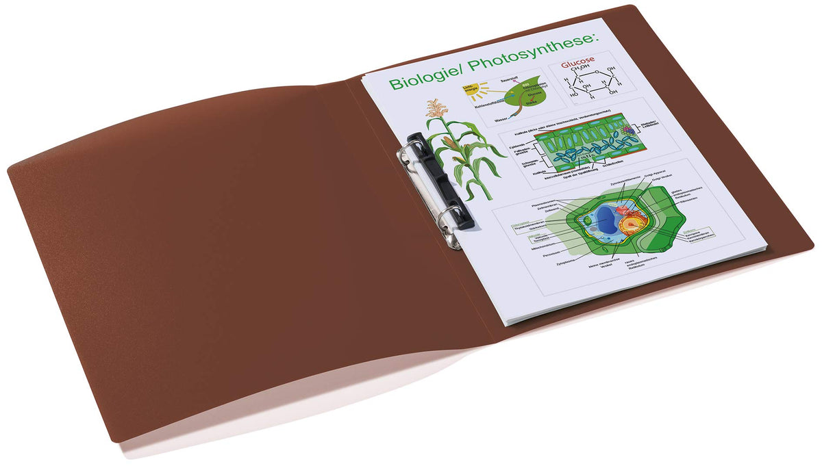 HERMA Ring Binder Translucent in Brown, A4, 25 mm Spine, Slim 2-Ring Binder Made of Plastic