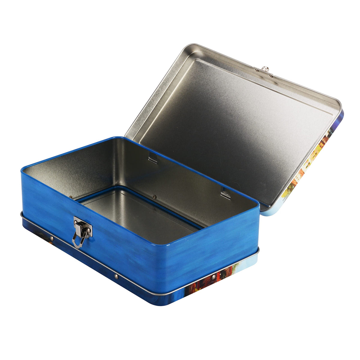 DAHO Metal Storage Box with Hinge for Office, School, Home, Makeup, Arts & Crafts and Accessories
