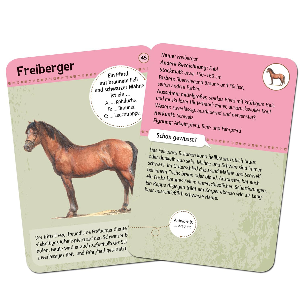 moses. Expedition Nature 50 Pferde und Ponys Set of Recognition Cards with Expedition Nature Quiz