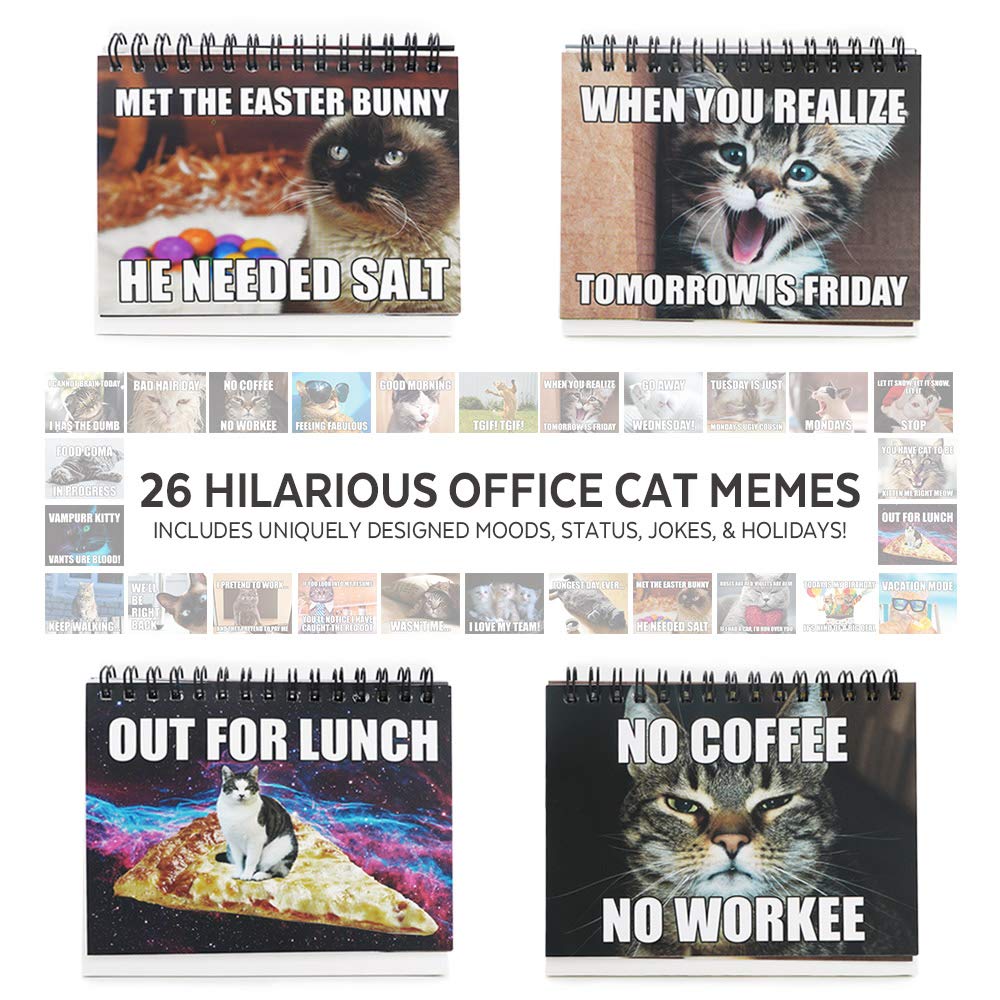 Office Gift for Cat Lovers | Cute Cat Office Supplies - Funny Cat Memes Desktop Flipbook, Cat Mouse