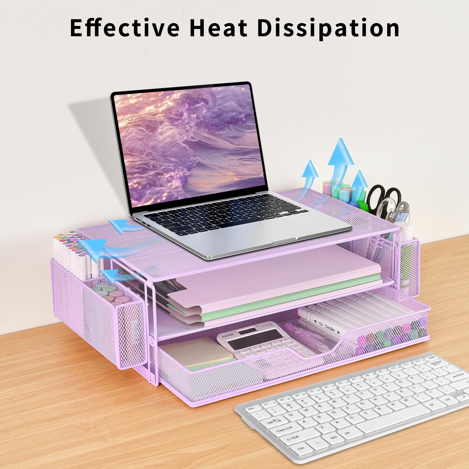 AUPSEN Computer Monitor Stands Riser，2-Tier Desk Organizers and Accessories, Office Desk