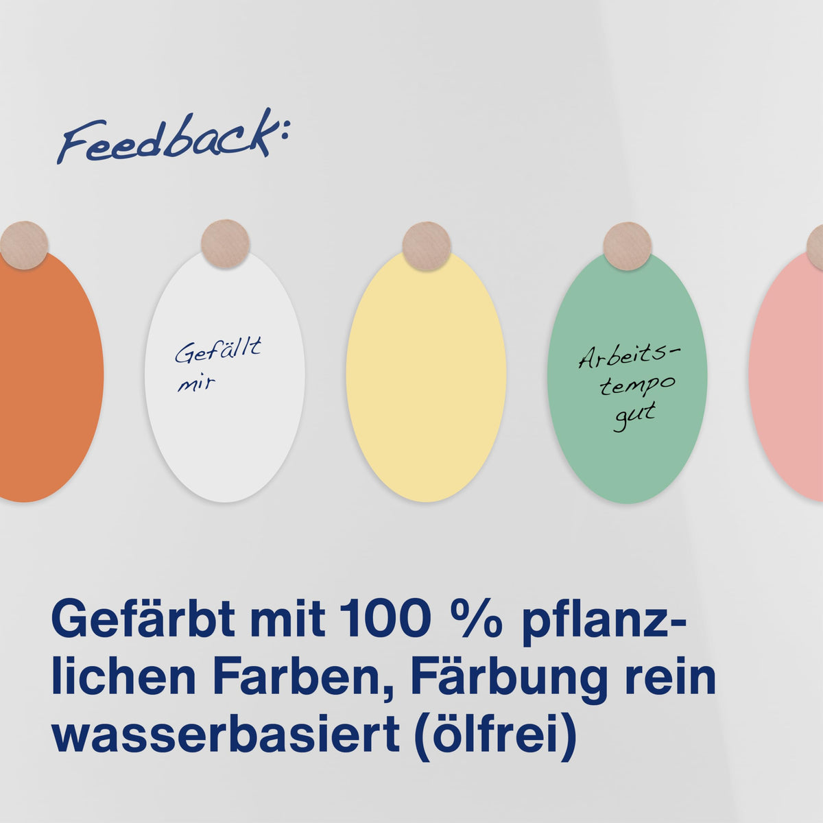Magnetoplan 112501910 Presentation Cards Oval Assorted Colours