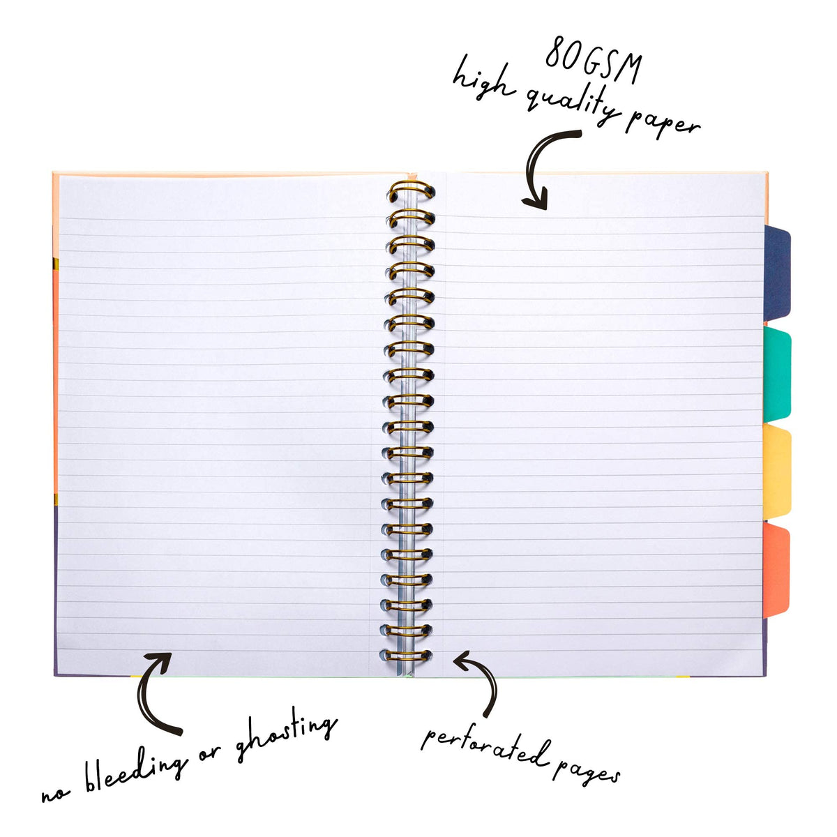 Pukka Pad, Carpe Diem 5-Subject Double Spiral Bound Notebook 3-Pack with Repositionable Dividers