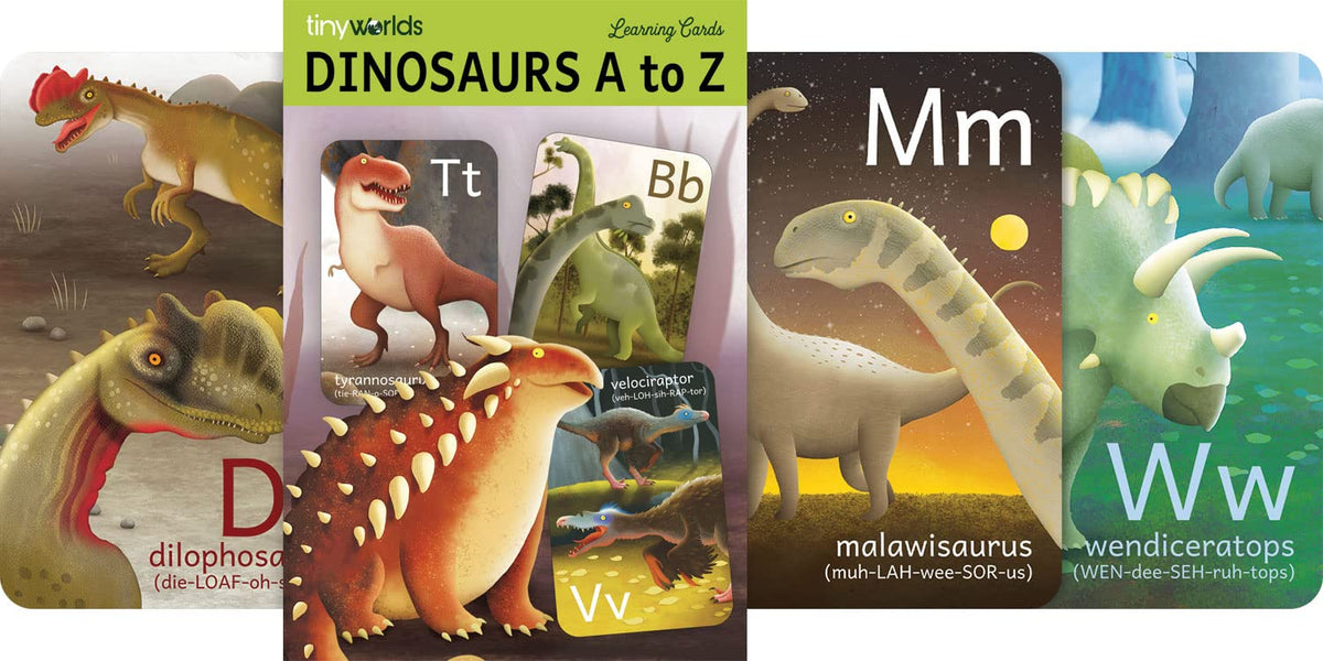 Tiny Worlds: Dinosaur ABC Flash Cards, Alphabet A to Z Dinosaurs flashcards for Kids 4-8 Years