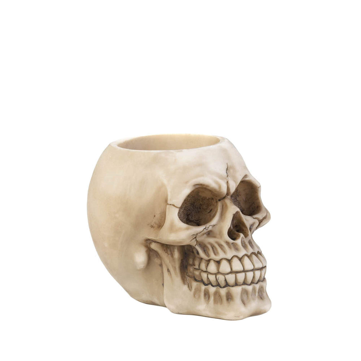 Dragon Crest Skull Pen Holder