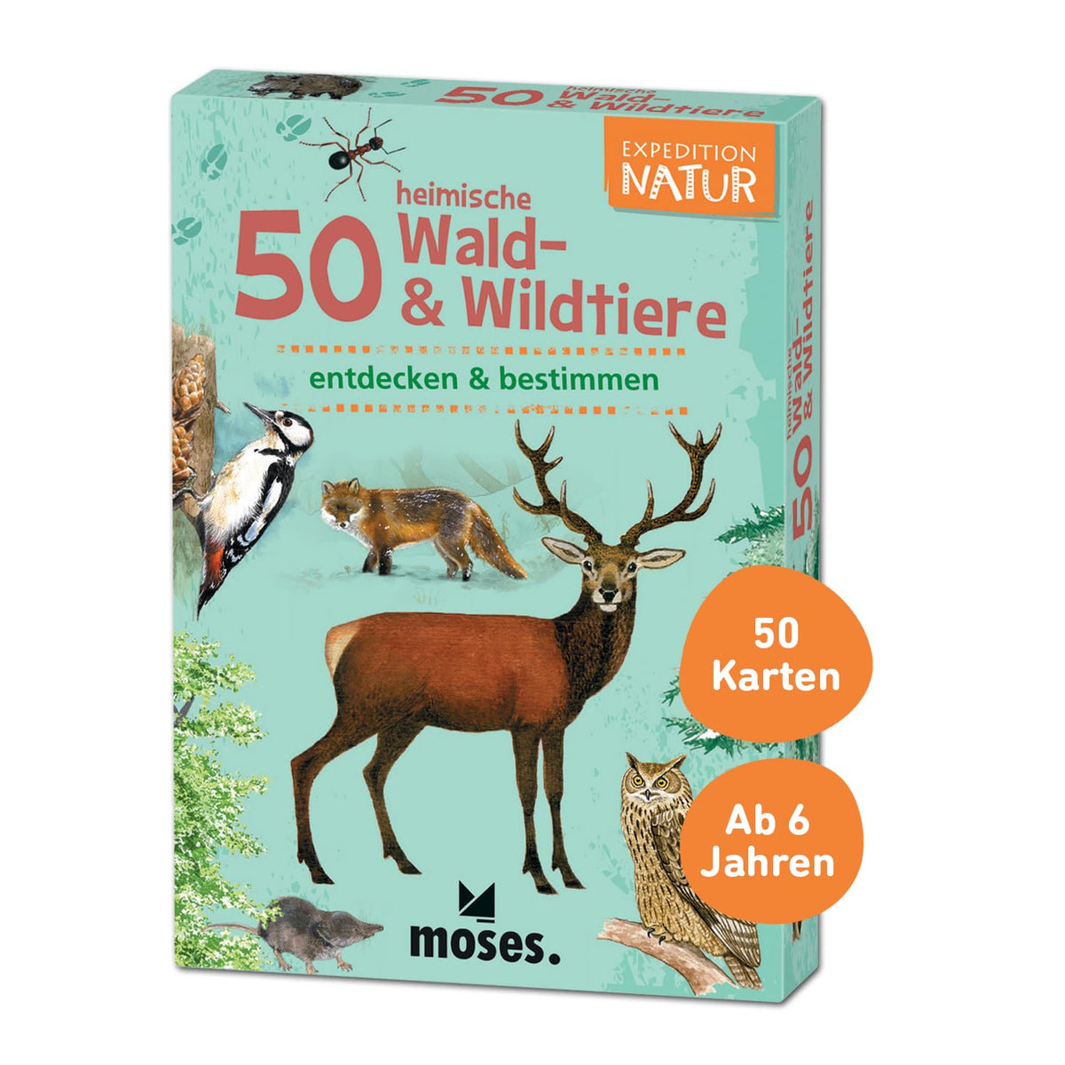 Moses 9739 Expedition Natur - 50 Local Forest and Wild Animals | Determination Cards in a Set |