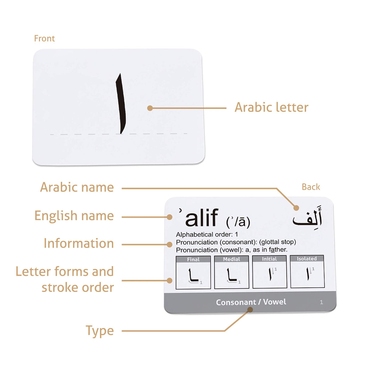 CARDDIA | Arabic Alphabet Educational Flashcards | Includes Consonants, Vowels, Diacritics and