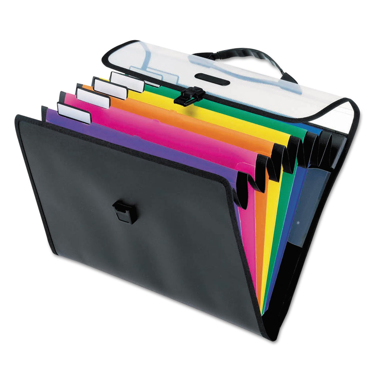 Pendaflex Hanging Organizer, All-in-1 Wall Organizer/Pocket Chart, Black with Bright Color Folders