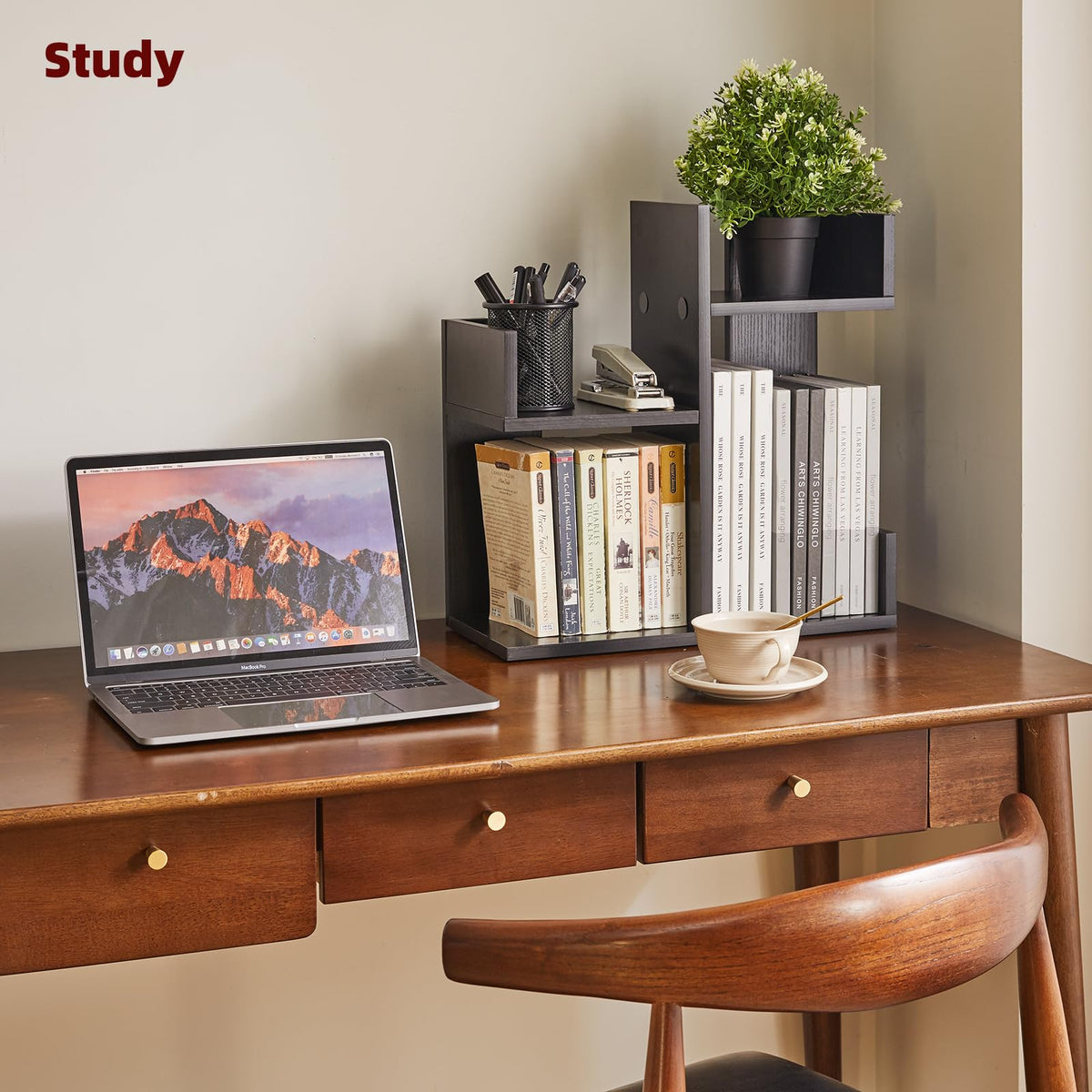 Aibiju Book Organizer for Desk, Cute Desk Top Organizing, Tree Bookshelf Unique Nursery Bookcase