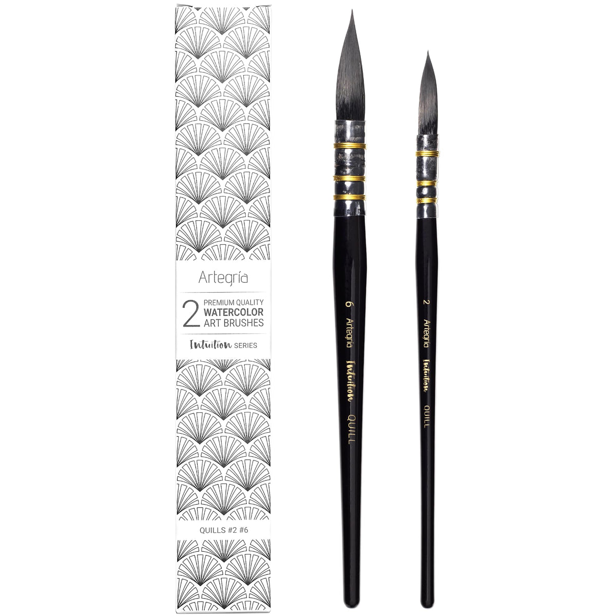 ARTEGRIA Watercolor Brush Set, 2 Round Quill Mop Brushes, Sizes 2, 6