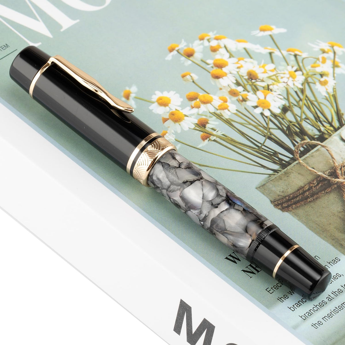 erofa Majohn P139 Piston Fountain Pen No.8 Medium Nib with Box, Gray Marble Acrylic Large Capacity