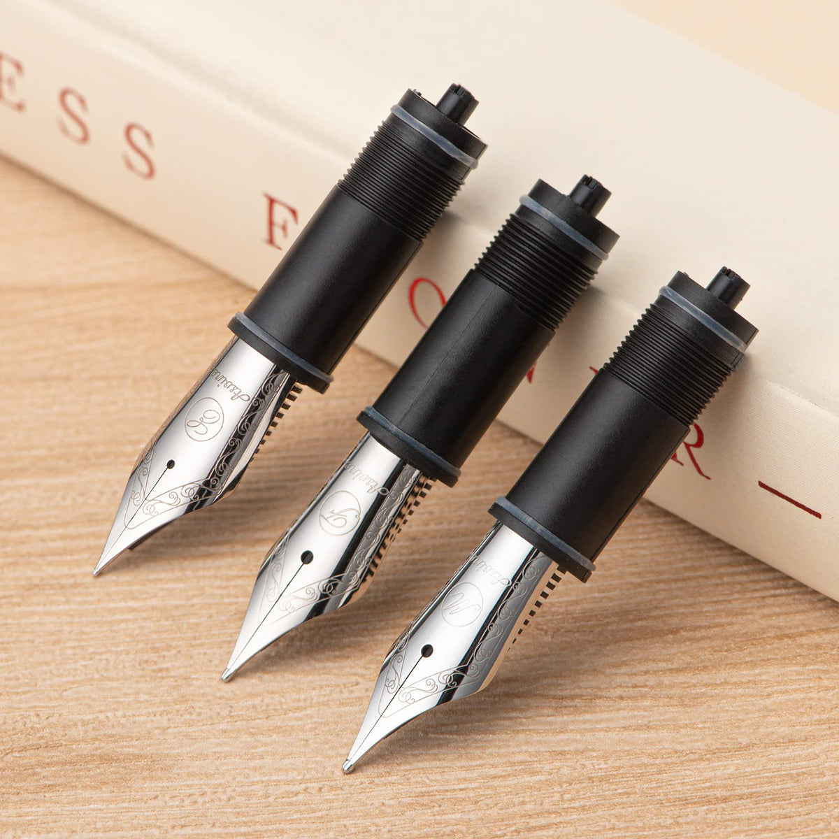 Asvine 3 PCS Fountain Pen Replaced Nibs, Silver #6 Fine Nib V169, P20, P30 and V126