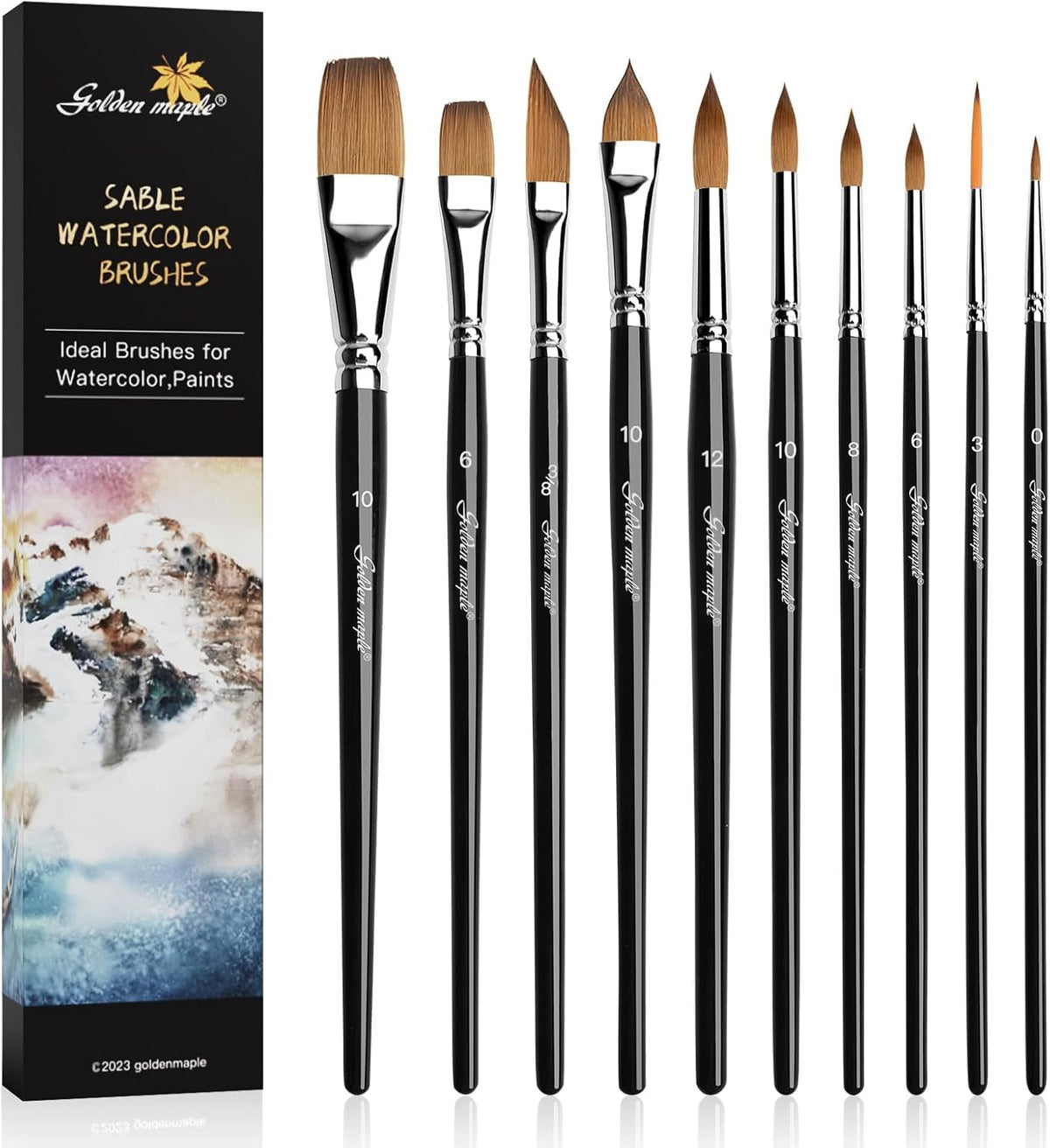 Watercolor Brushes Professional Set, 10 Artist Brushes Watercolor Paint Brushes, Golden Maple Sable