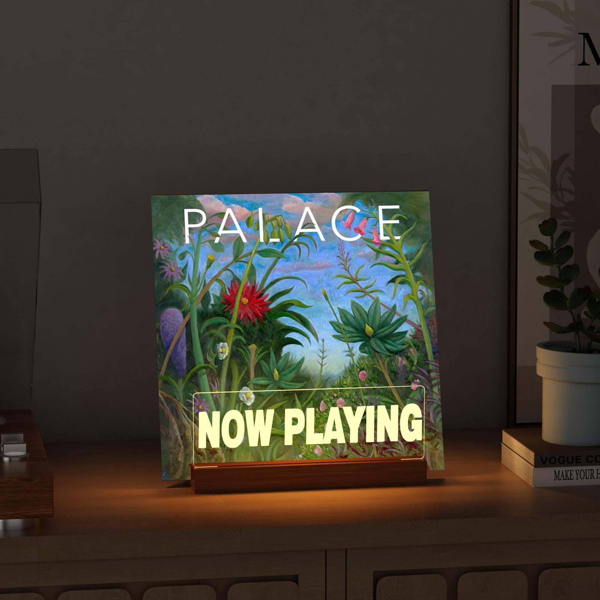 Ammonite Light up Vinyl Record Stand, Wooden Acrylic Holder for Album Display and Storage, Warm