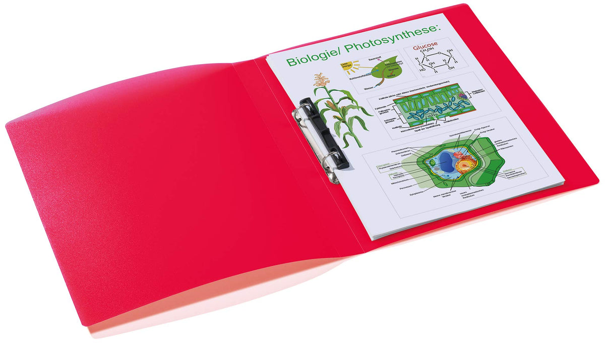 HERMA Ring Binder Translucent in Red, A4, 25 mm Spine, Slim 2-Ring Binder Made of Plastic