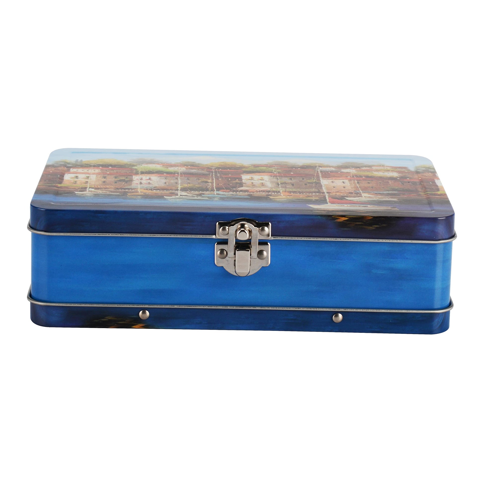 DAHO Metal Storage Box with Hinge for Office, School, Home, Makeup, Arts & Crafts and Accessories