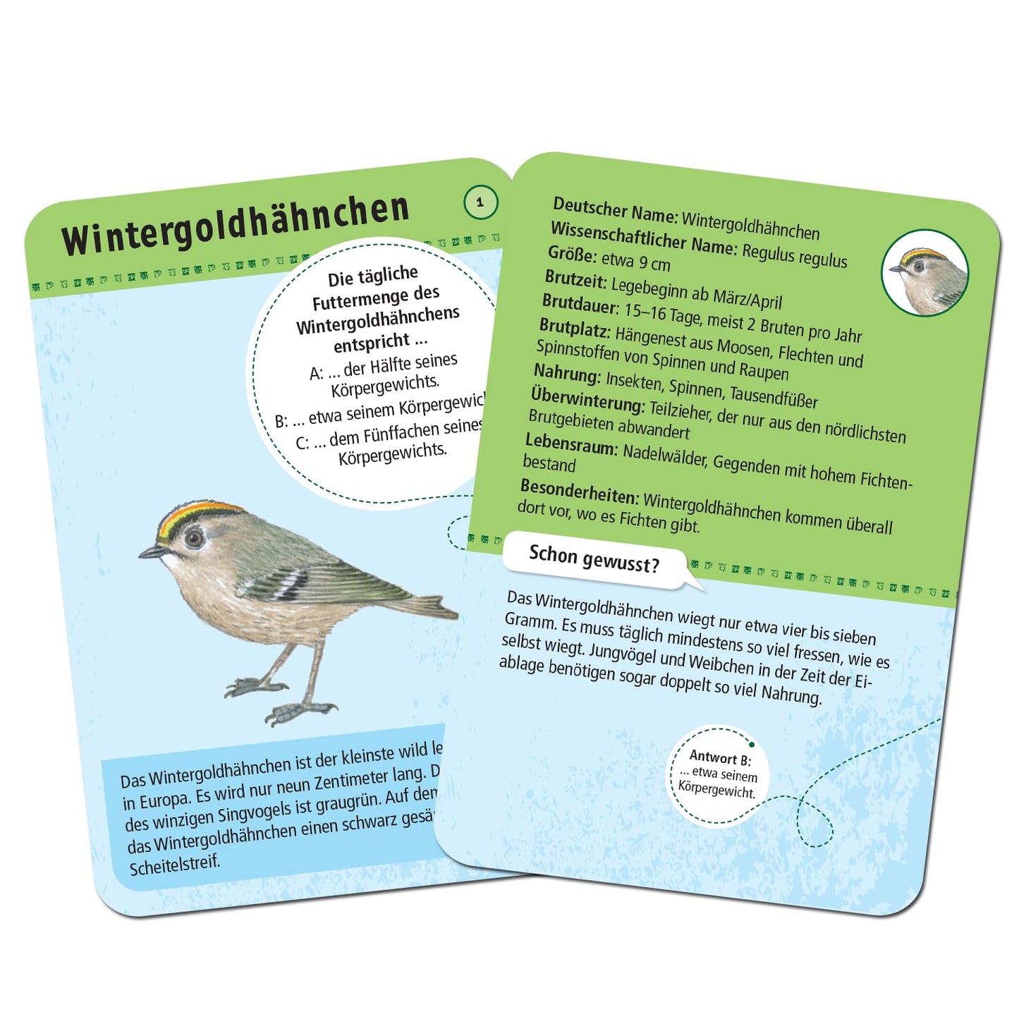 Expedition Natur. 50 heimische Vögel