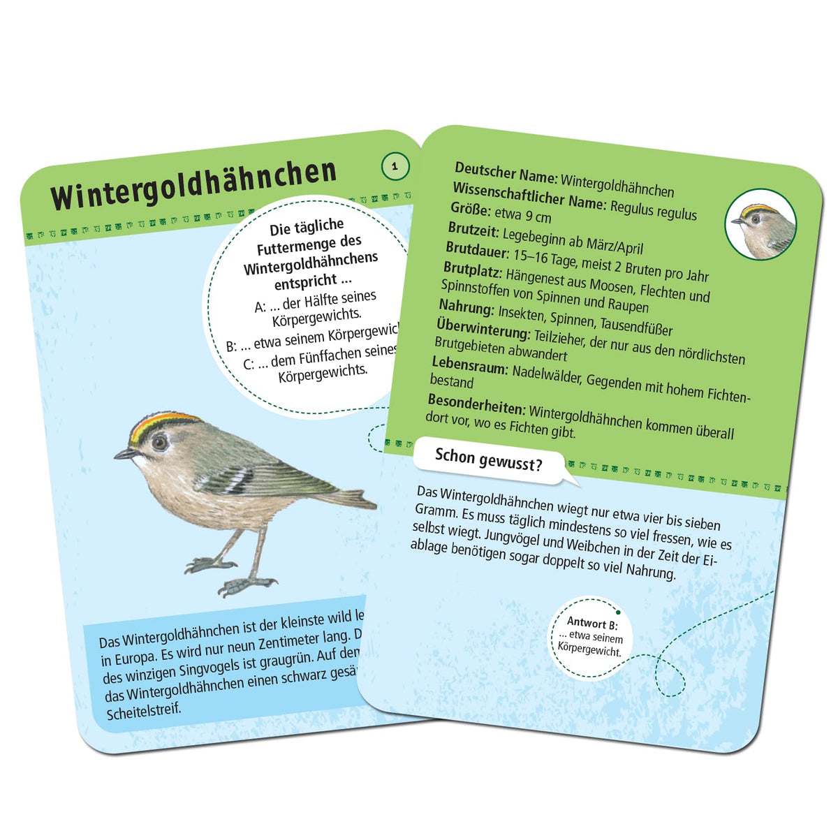 Expedition Natur. 50 heimische Vögel