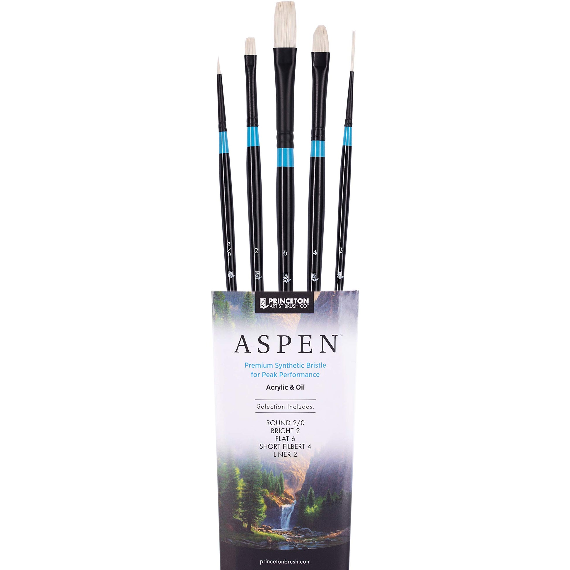 Princeton Aspen 6500 Series 5pc Professional Paint Brushes for Acrylic Painting - Synthetic Oil