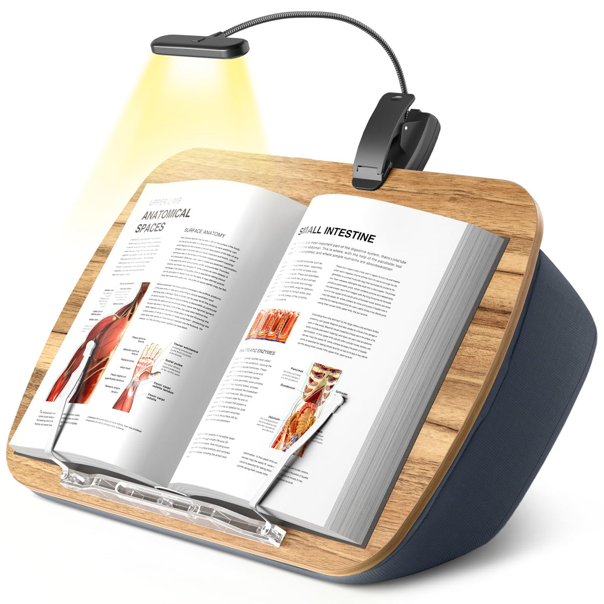 ERGONOV Book Pillow Stand with 6500K Reading Light, Hands Free Book Holder