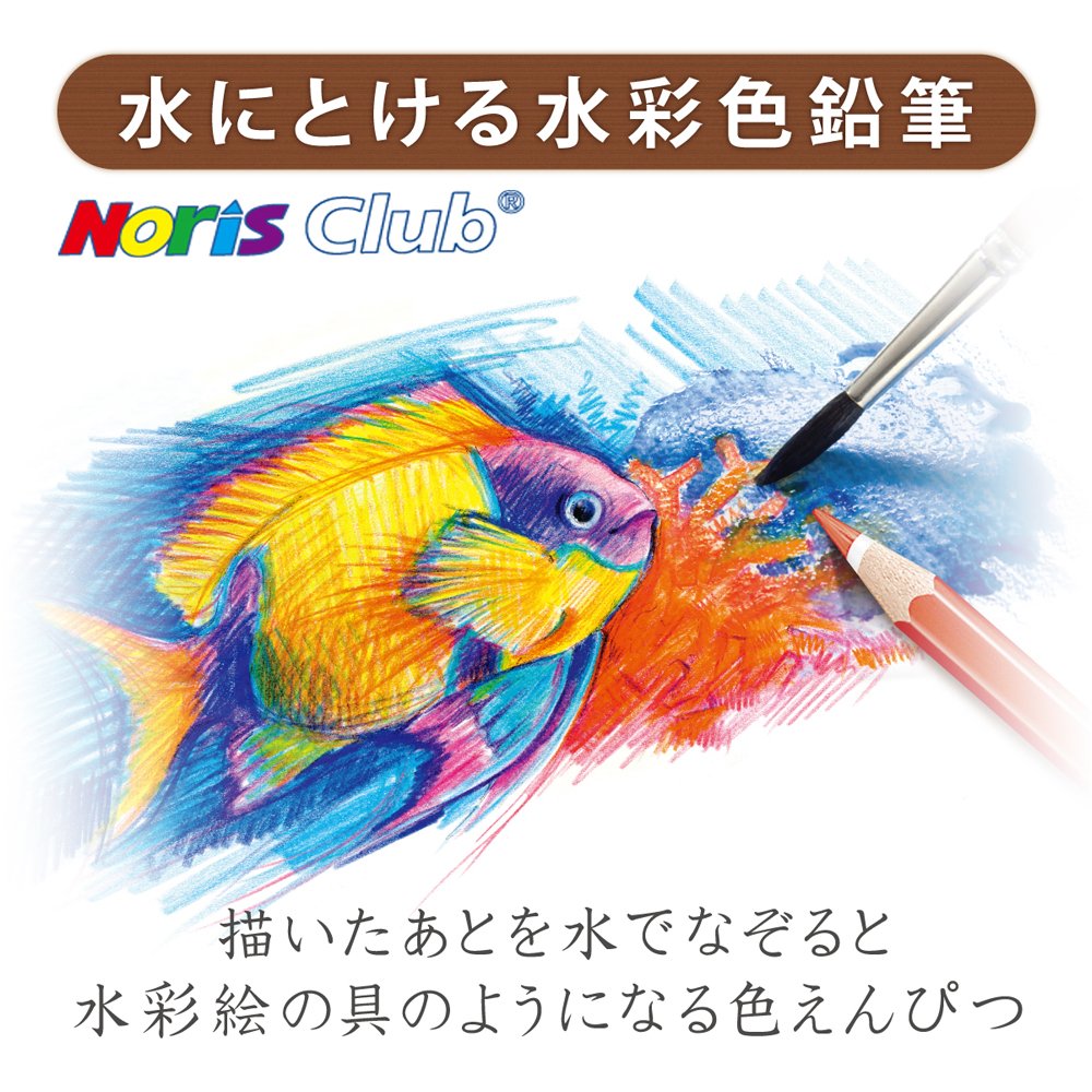 Set 144 10NC24P 24 colors Staedtler Noris Club colored pencil watercolor (japan import) by Staedtler
