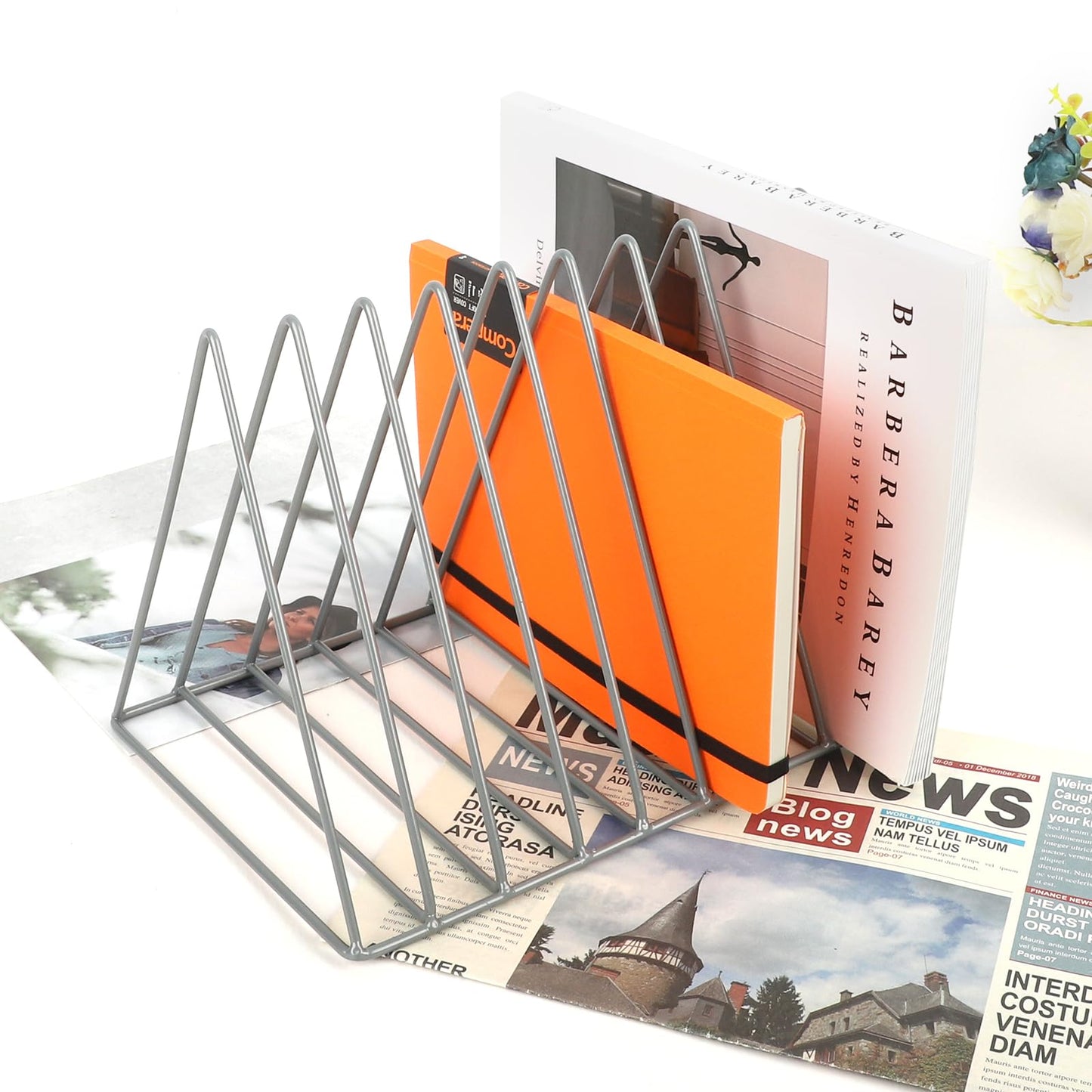 EASEPRES Vinyl Record Holder Storage, 9 Slot Metal Magazine Book Album Display Rack, Stylish