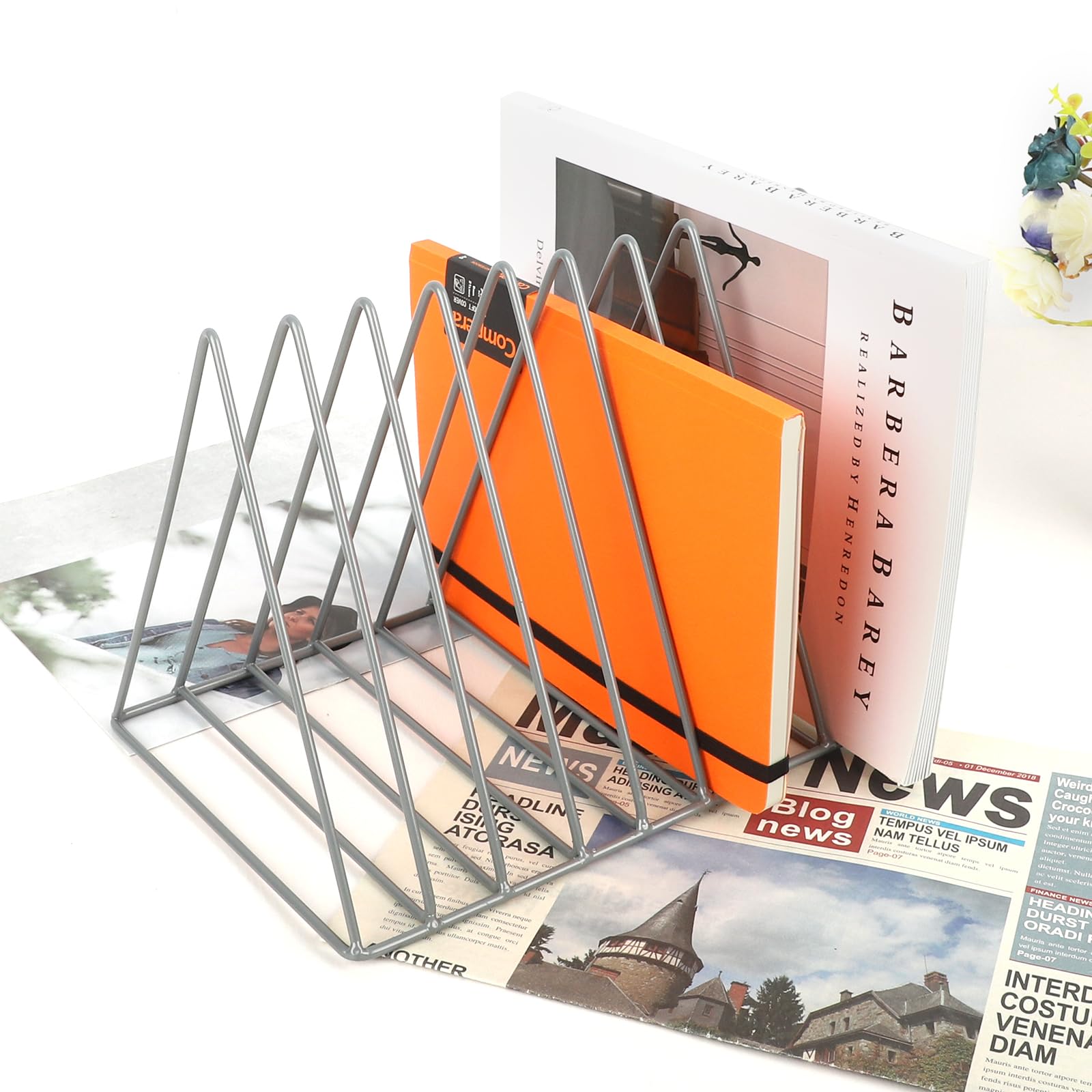 EASEPRES Vinyl Record Holder Storage, 9 Slot Metal Magazine Book Album Display Rack, Stylish