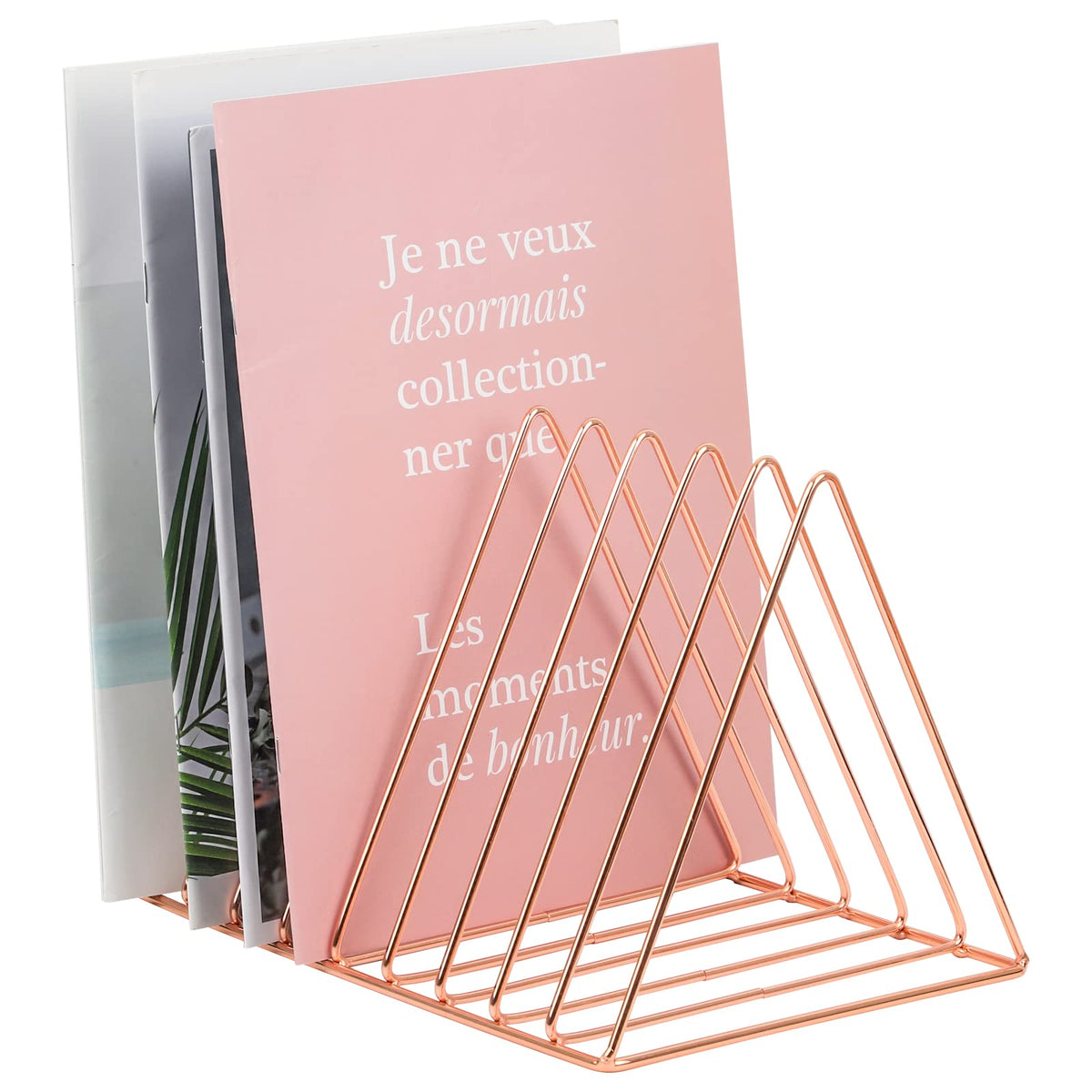 EASEPRES Rose Gold Magazine Holder, Desktop File Sorter Organizer Triangle 9 Slot Newspaper Record