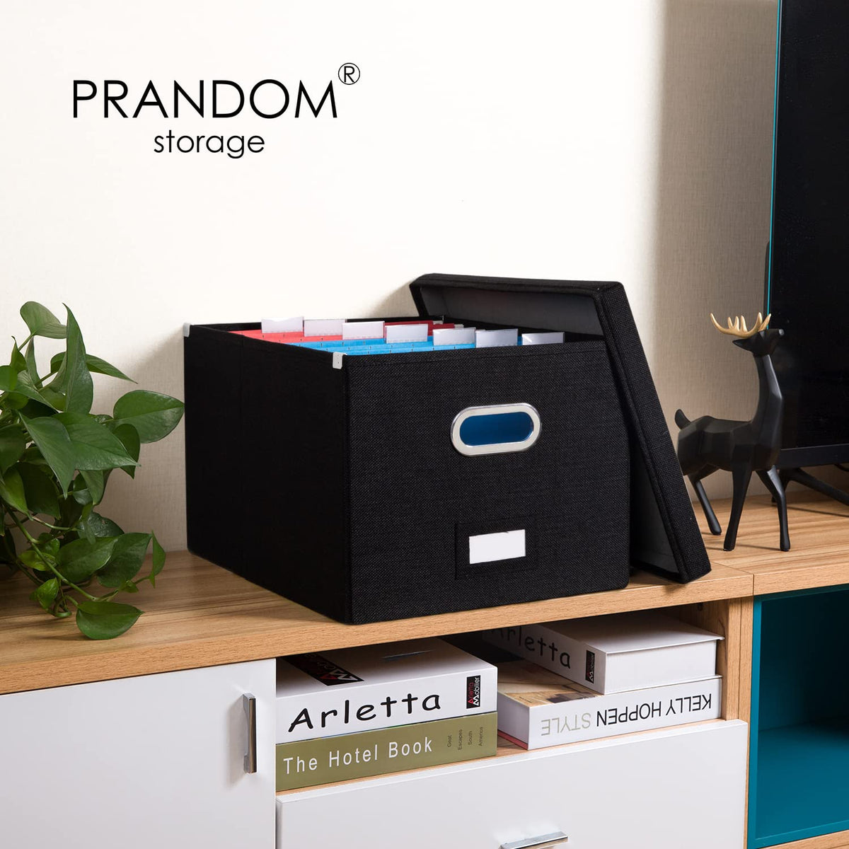 PRANDOM File Organizer Box - Set of 2 Collapsible Decorative Linen Filing Storage Hanging File