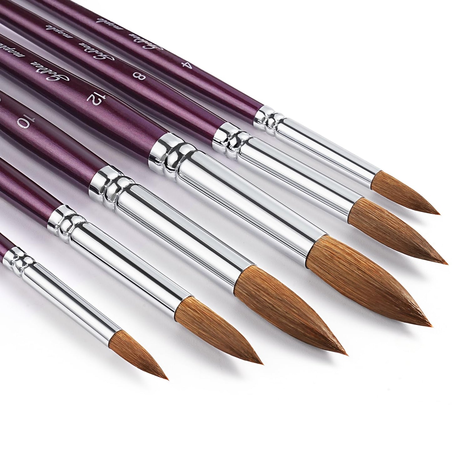 Golden Maple Professional Watercolor Brushes Set - 6PC Natural Hair Horsehair Round Point Artist