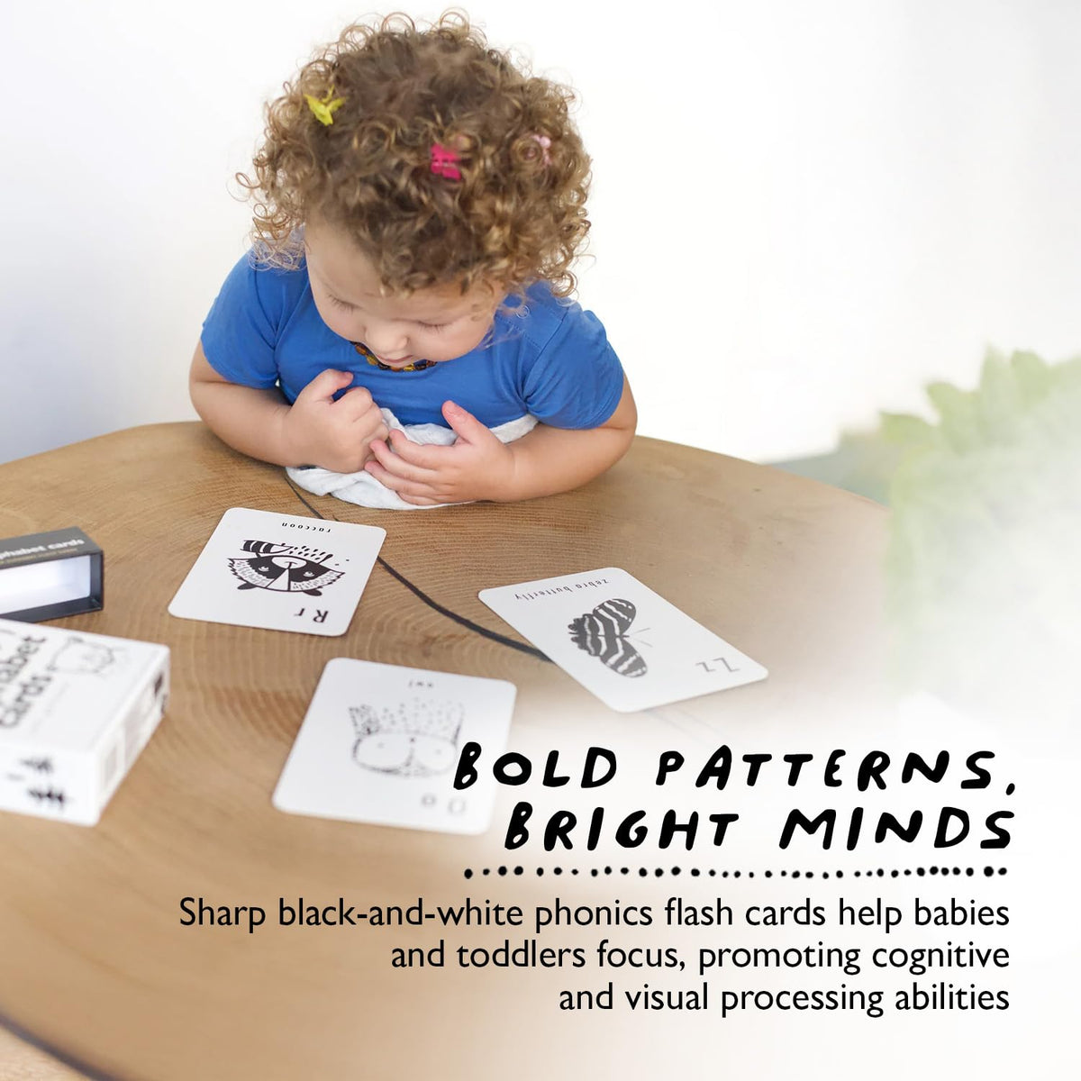 Wee Gallery Number Cards, Nature Counting Flash Cards for Toddlers