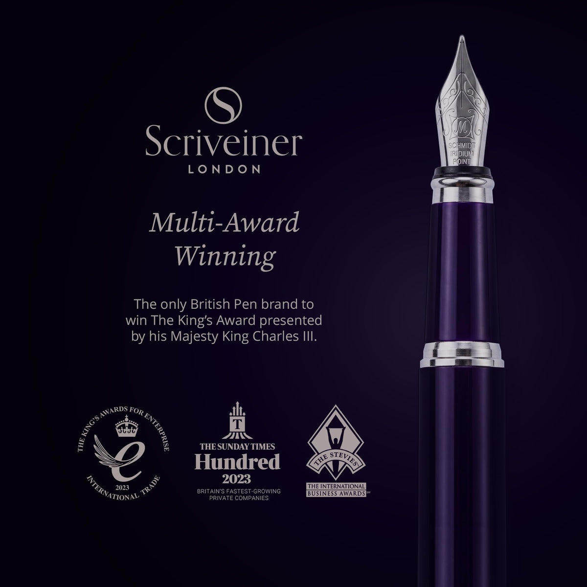 Scriveiner Luxury Fountain Pen - Aubergine, Schmidt Gilded Nib (Medium), Converter, Best Pen Gift