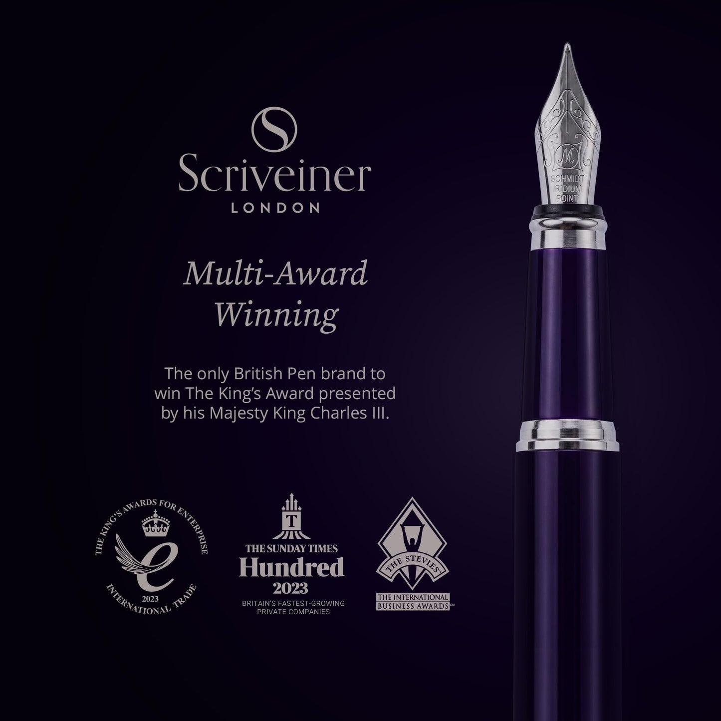 Scriveiner Luxury Fountain Pen - Aubergine, Schmidt Gilded Nib (Fine), Converter, Best Pen Gift Set