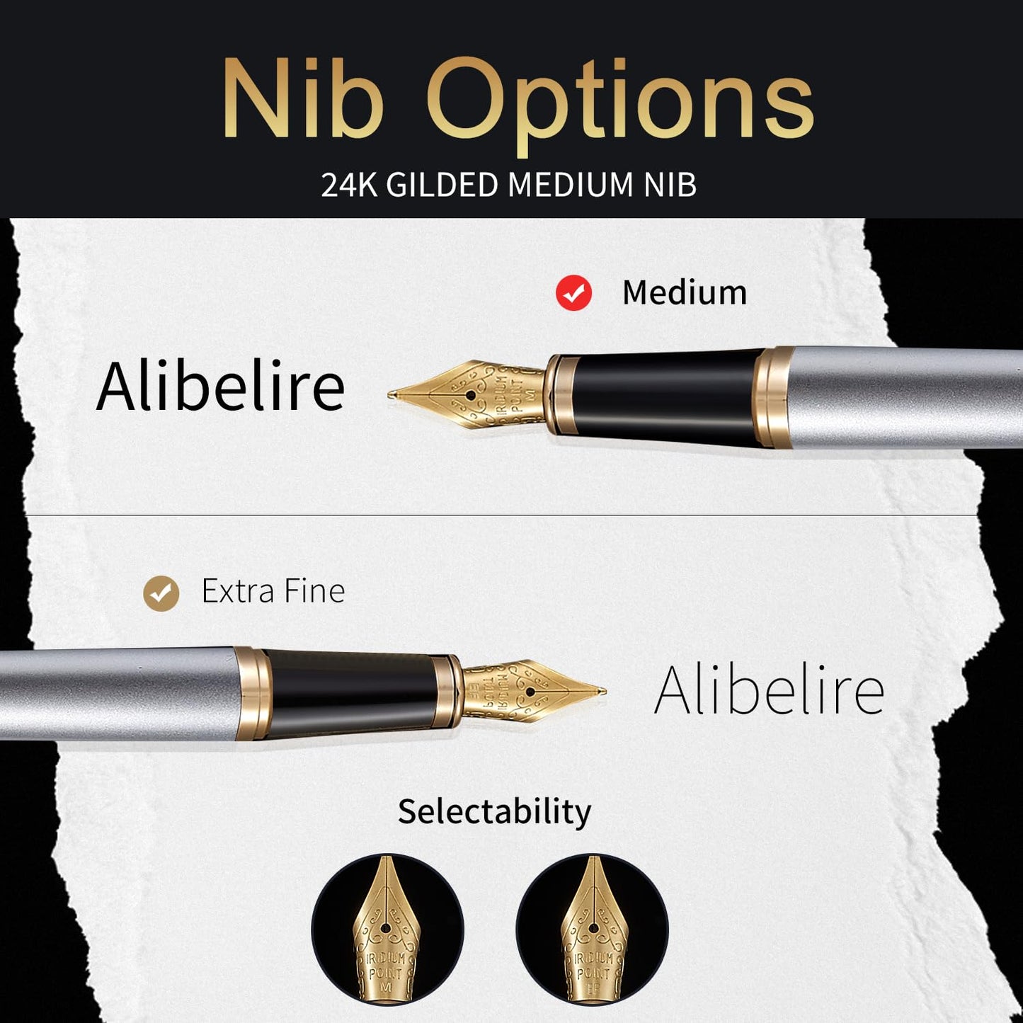 HDDNB Silver Luxury Fountain Pen Set for Men and Women with Gift Box, 24K Gold Finish and Gilded
