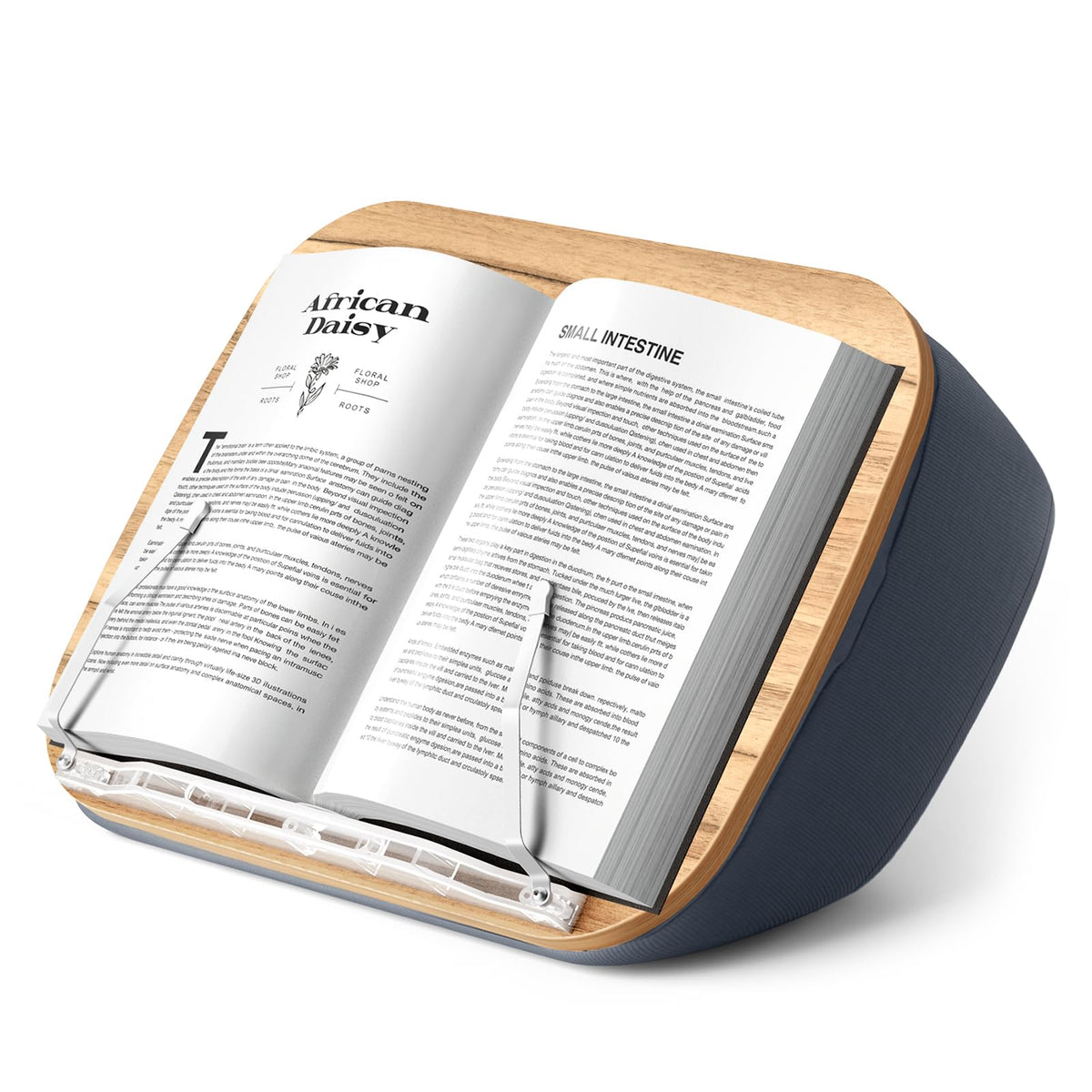 ERGONOV Lap Book Stand for Hands Free Reading Comfortable Pillow Stand