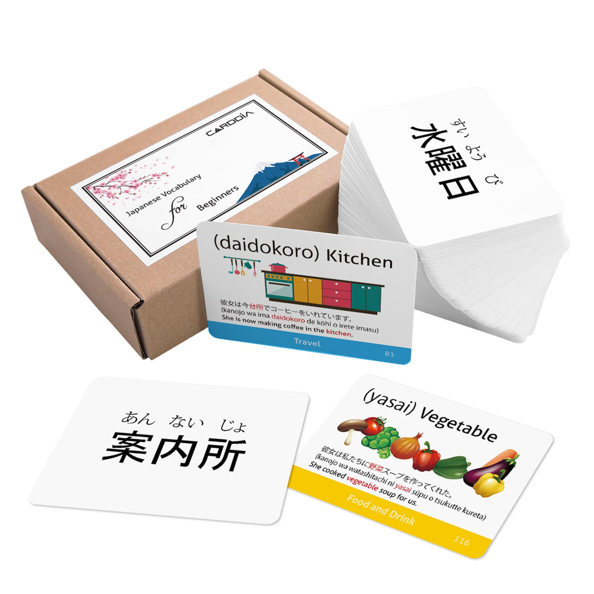 Japanese Vocabulary Flash Cards for Beginners (with Illustrations and Example Sentences), Standard