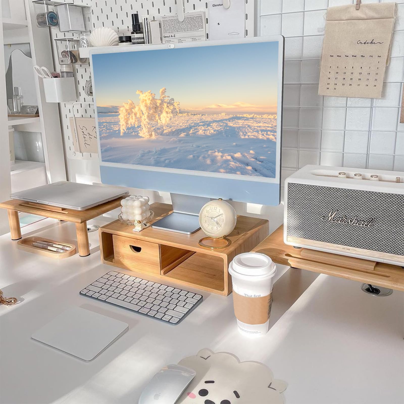 ROCDEER Dual Monitor Stand Riser with Drawer for Desk Laptop
