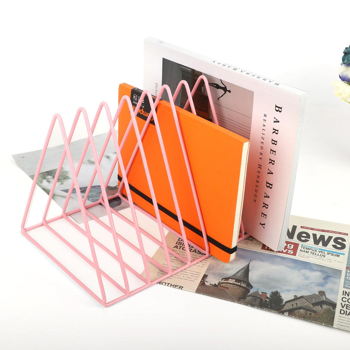 EASEPRES Vinyl Record Holder Storage, 9 Slot Metal Magazine Book Album Display Rack, Stylish