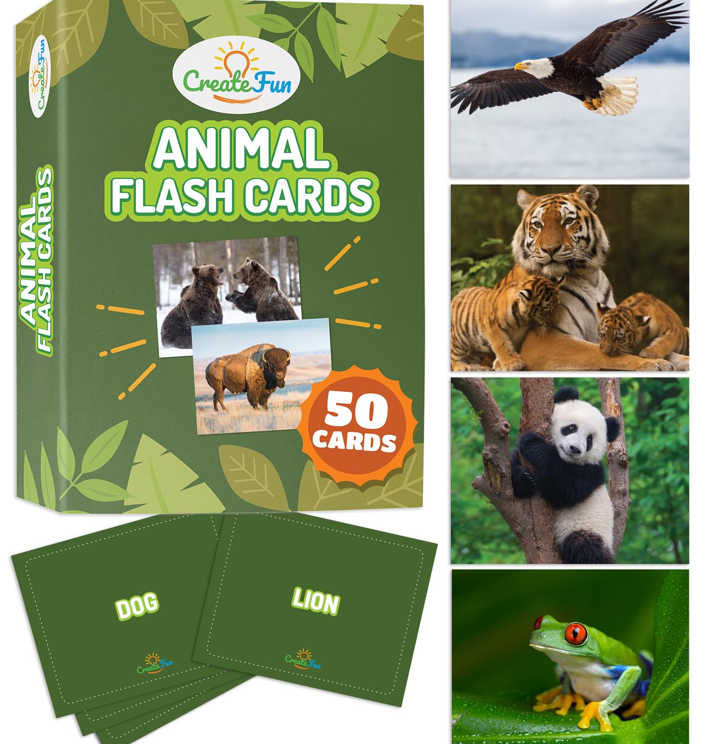 CreateFun 50 Animal Flash Cards - Realistic Photos for Speech Therapy ESL