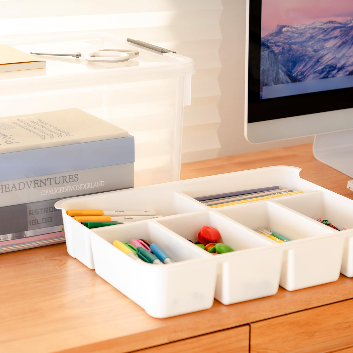Citylife 32QT 2Packs Clear Craft Organizers and Storage Box with Tray