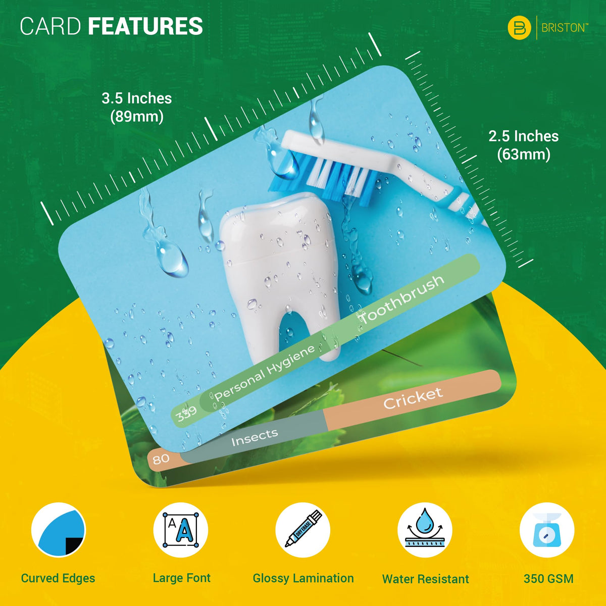 Spanish Vocabulary Flash Cards – 600 Words, Sentences & Pronunciation