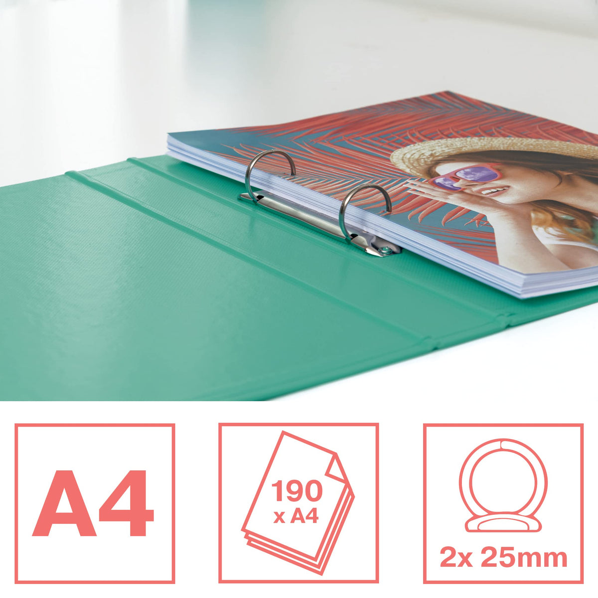 Esselte Ring Binder, 190 Sheet Capacity, 42mm Spine, 2 Ring A4 Folder, Hard Cover File, Home/Office