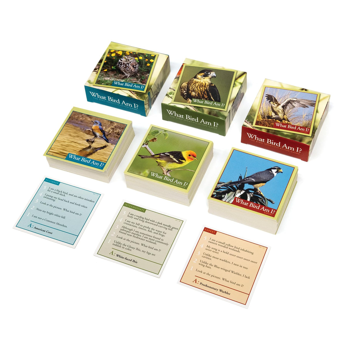Outset Media What Bird Am I? – The Bird Identification Game – Contains 300 Cards for 2 or More