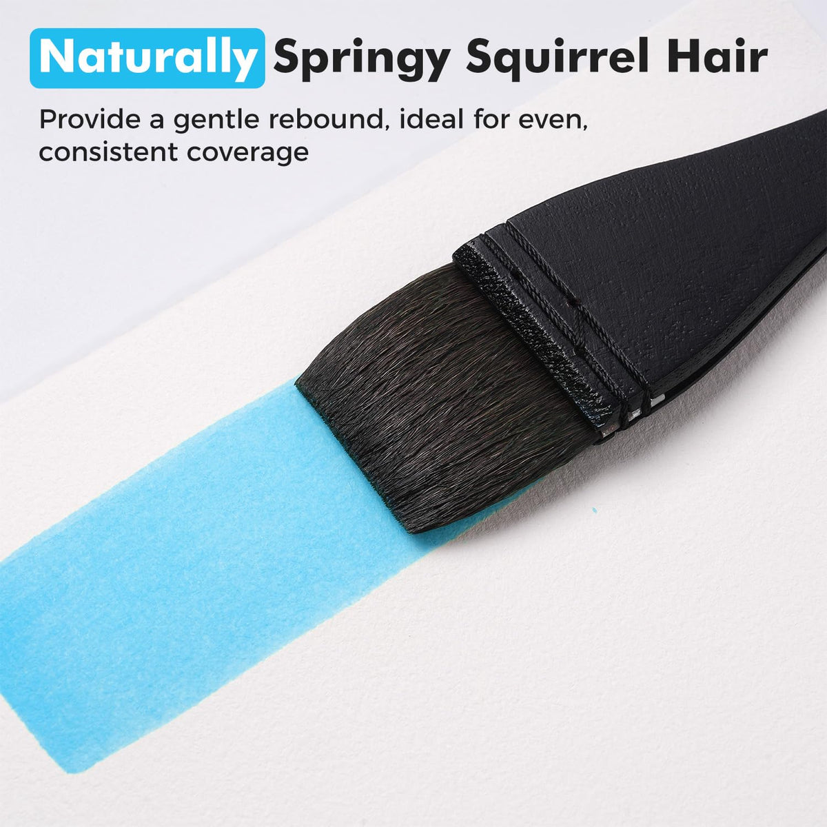 Flat Watercolor Brushes, 3pcs Professional Squirrel Hair Flat Hake Brushes Set, Artists Scale Large