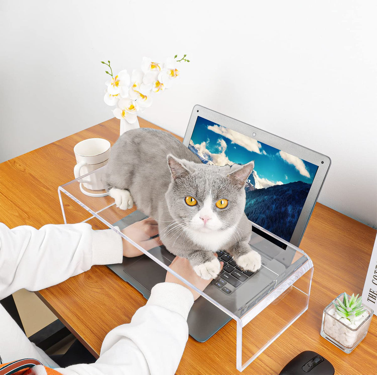 VAOLLO Anti-Cat keyboard cover, laptop keyboard covers cat proof, clear keyboard protector, PC Desk