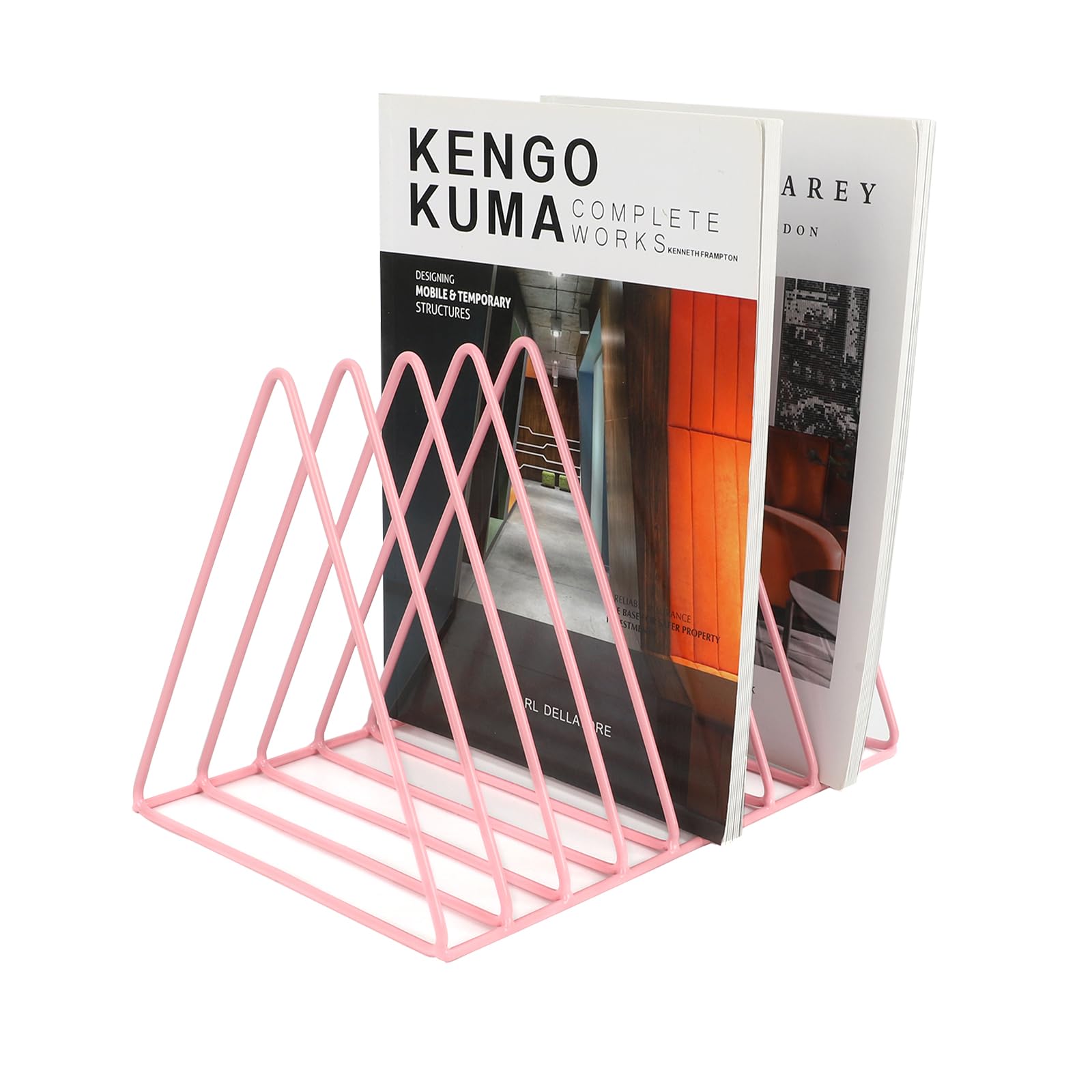 EASEPRES Vinyl Record Holder Storage, 9 Slot Metal Magazine Book Album Display Rack, Stylish