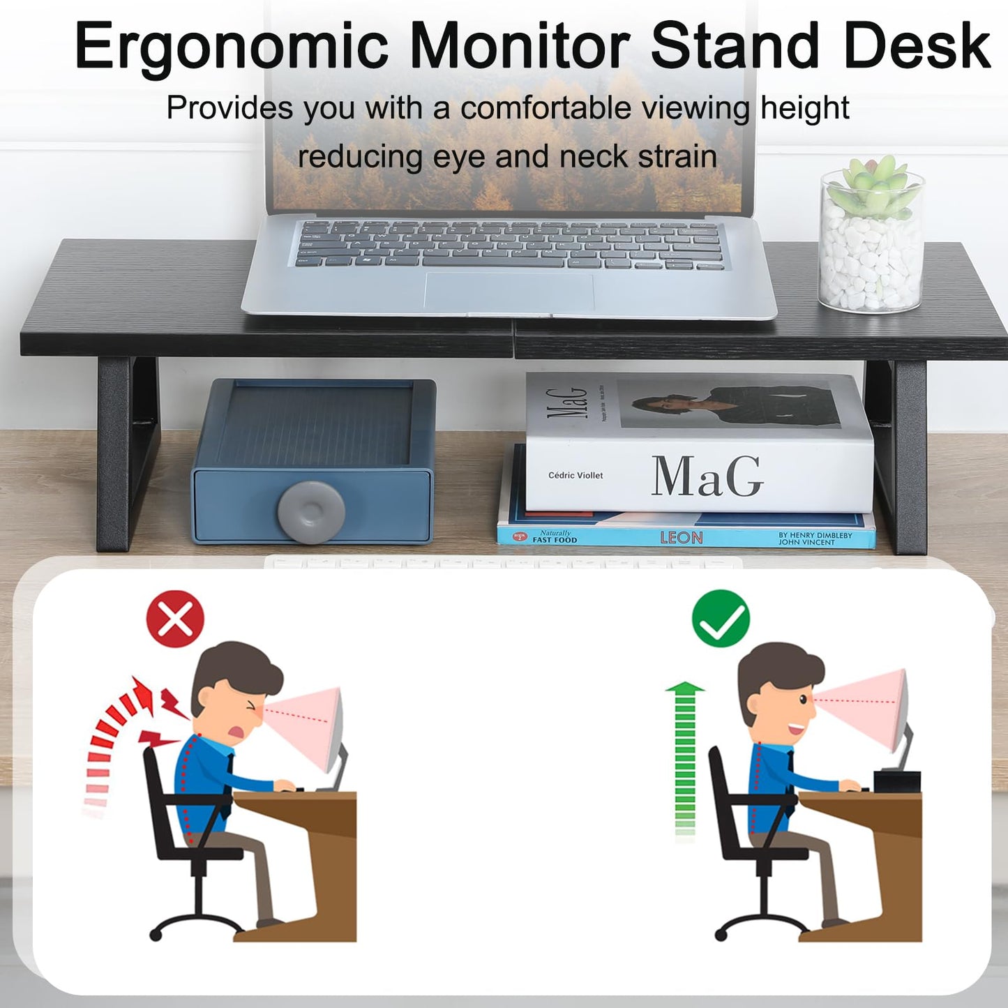 TEAMIX 24 inch Monitor Riser for Desk, Wood & Steel Computer/TV Stand Black