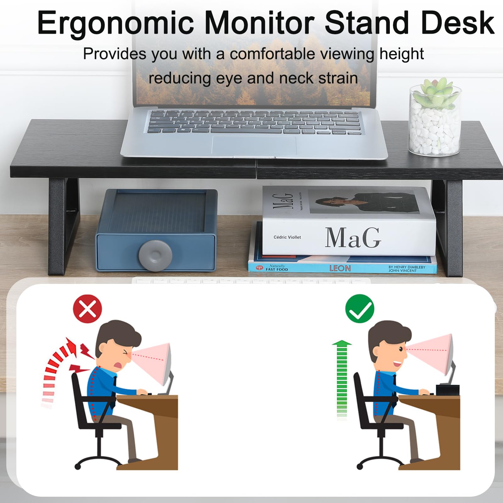 TEAMIX 24 inch Monitor Riser for Desk, Wood & Steel Computer/TV Stand Black