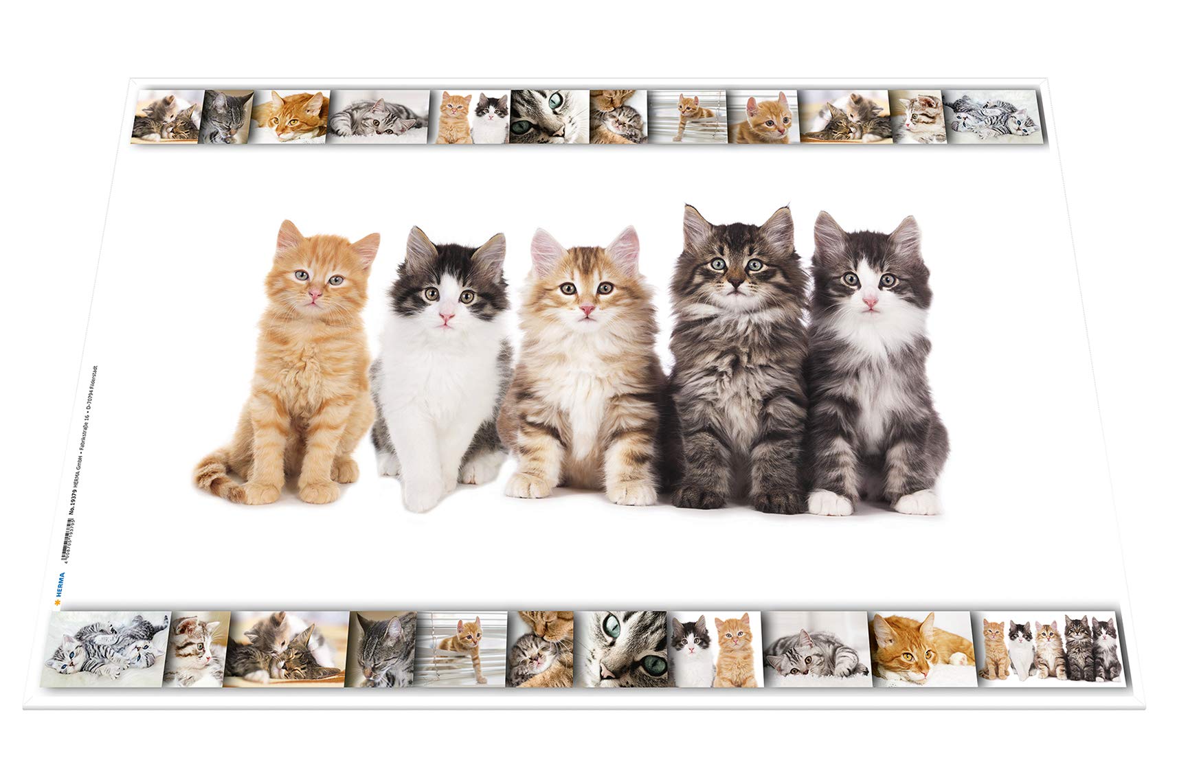 Herma 19378 Desk Mat Non-Slip (55 x 35 cm/Dogs, Motif On Both Sides, for Children 1 Mat Format 55 x