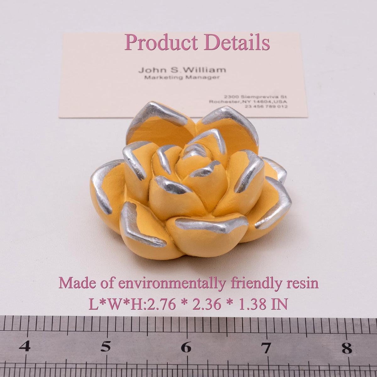 wowhalolo Succulent Business Card Holders Display Stand Desk Organizer